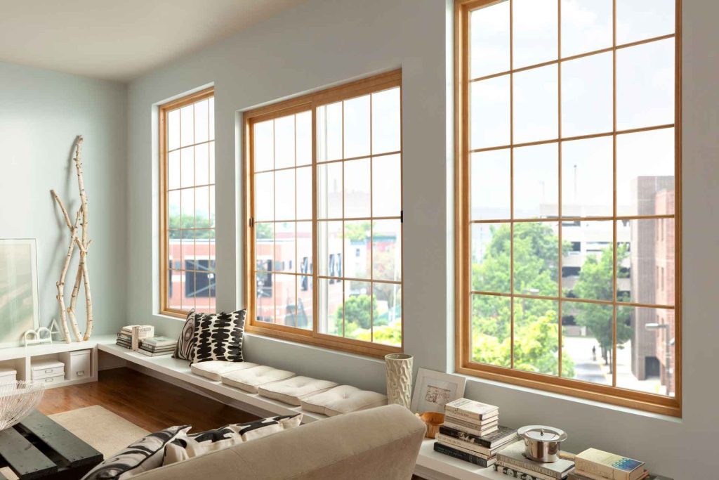 Vinyl Windows​